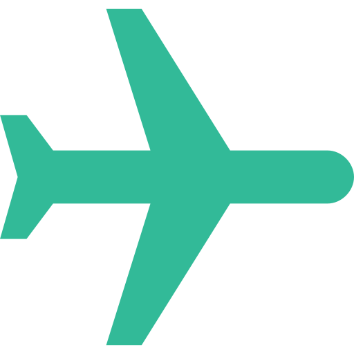 Boeing 787 Icon